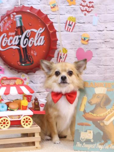 20230905かぶ蔵くん